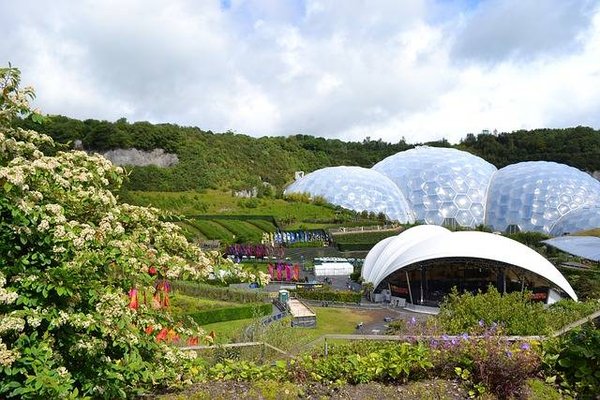 Comprendre la relation entre l'écologie et l'innovation