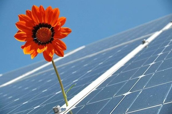 Quels sont les enjeux et les défis de l'écologie et de l'innovation ?